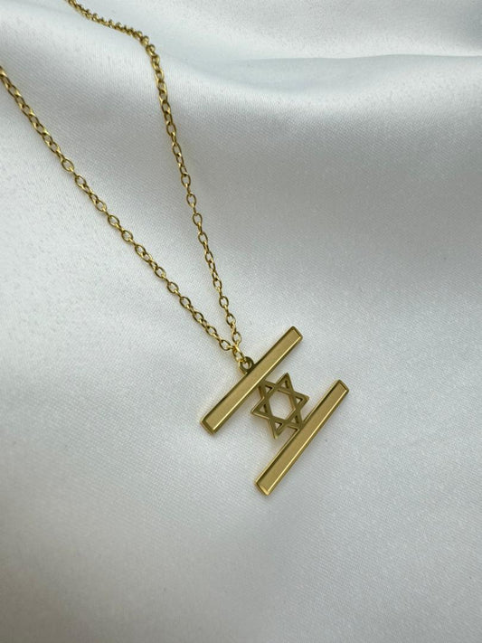 18K Gold Plated Stainless Steel Israel Flag Necklace-0