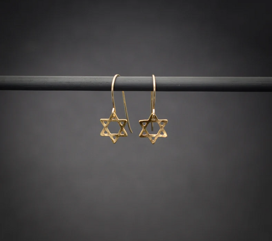 Dainty Star of David Drop Earrings-0